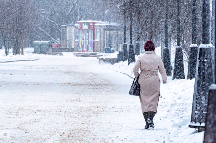 Снегопад в Волгограде продлится до середины недели