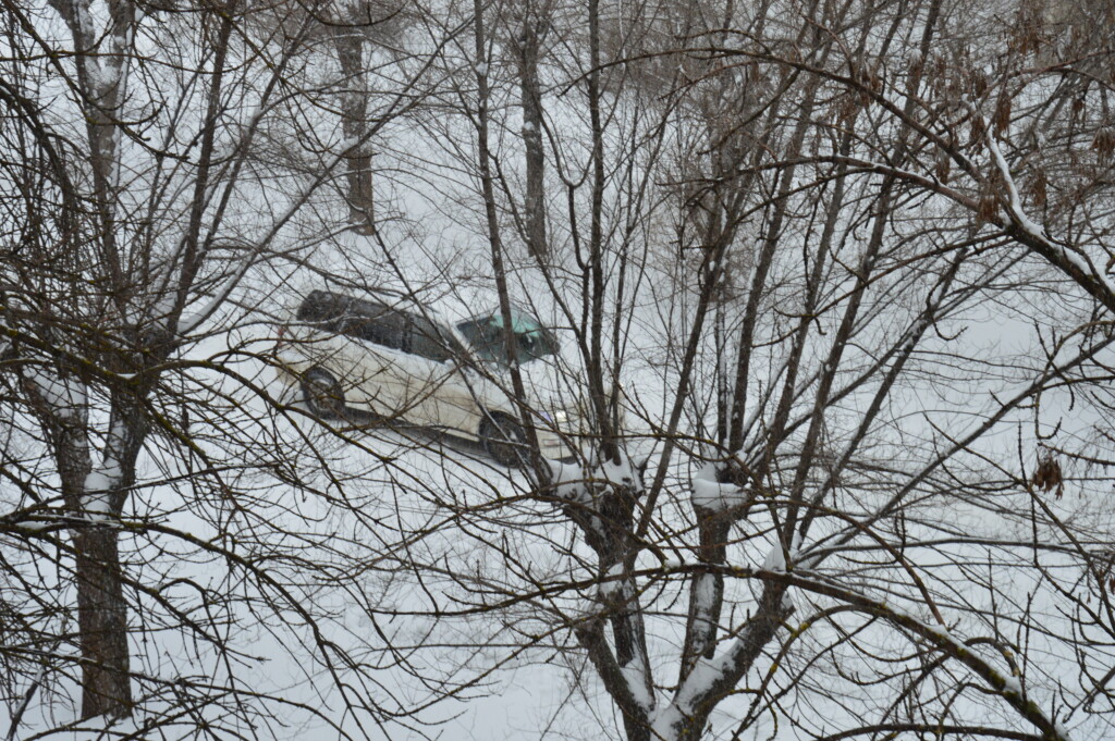 “Стоят фуры и не могут тронуться”: волгоградских водителей предупредили об осложнениях на дорогах из-за снегопада