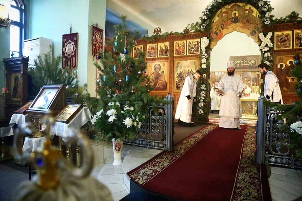 Митрополит Волгоградский и Камышинский Феодор поздравил православных с Рождеством Христовым