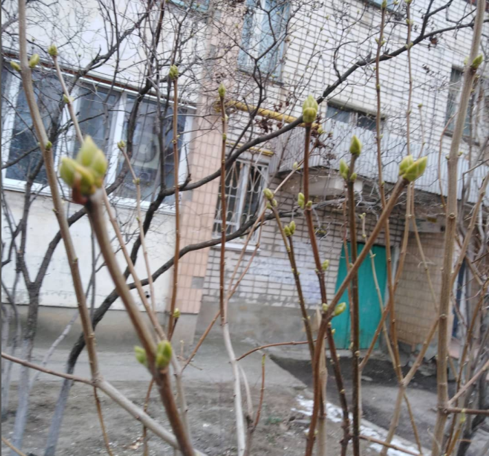Ночью -17, днем +9: В Волгоградской области никак не наступит весна