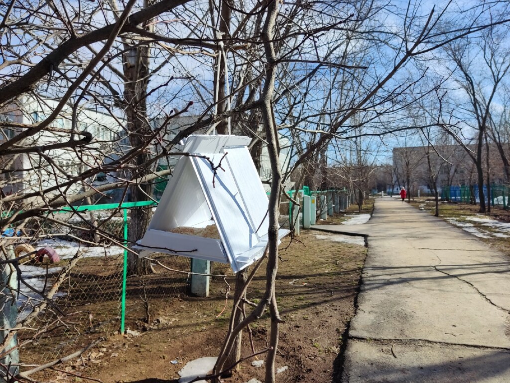 В Волгоградскую область придут мартовские 12-градусные морозы