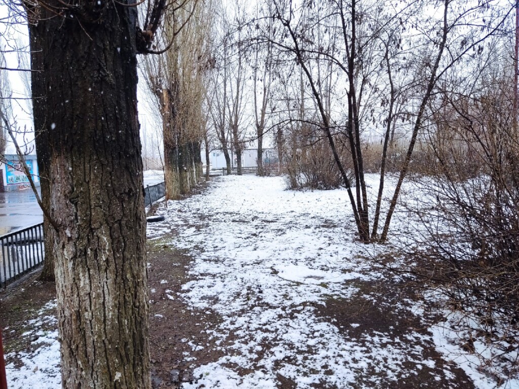 В Волгограде убирают «праздничный» снег