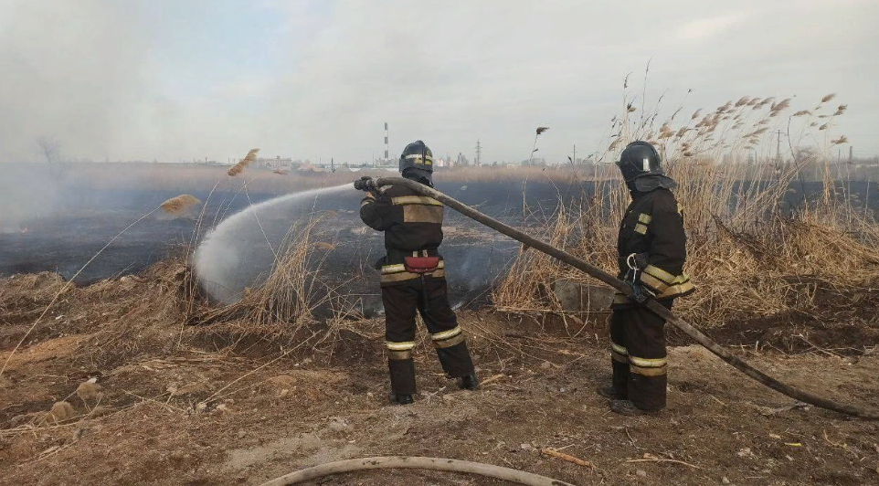 В Волгоградской области за сутки 14 раз тушили сухую траву и камыши