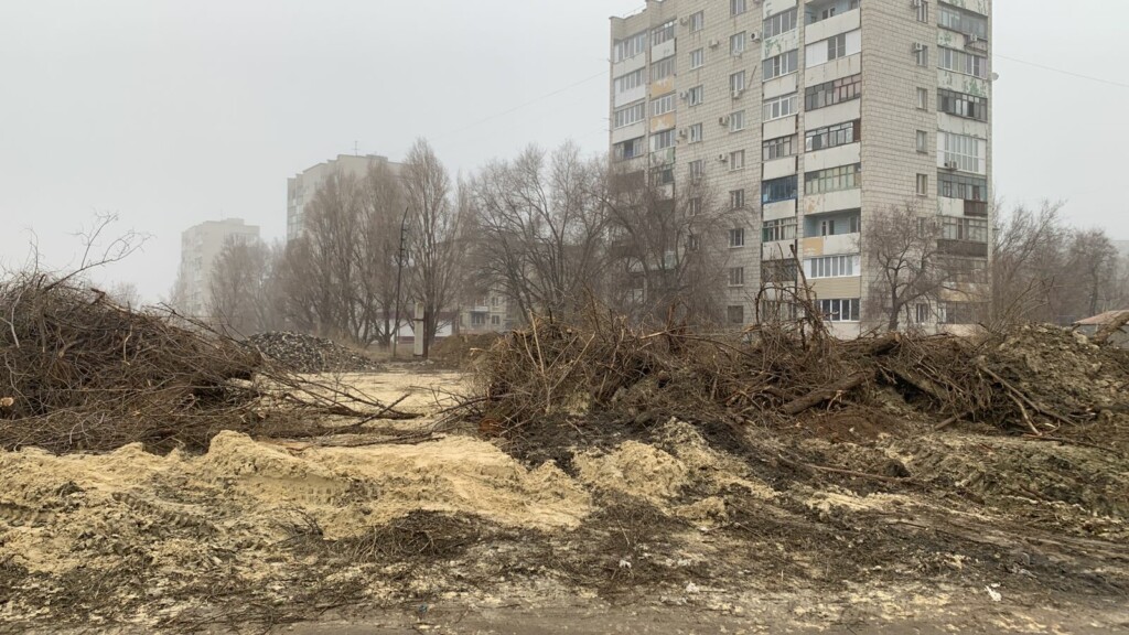 «У меня досрочно аннулировали разрешение»: в Волгограде чиновники забрали права на захламленную ими же землю
