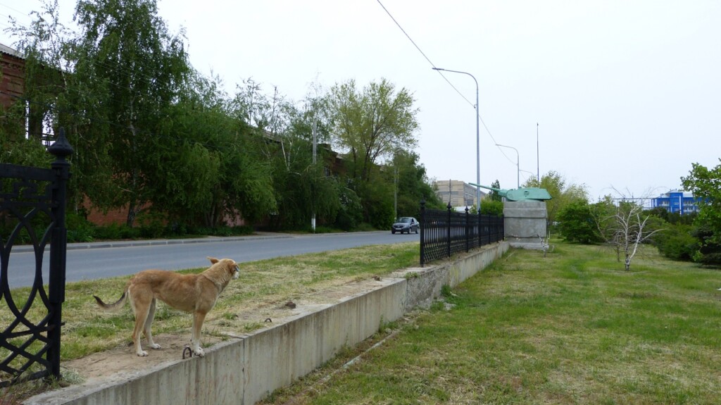 В Волгограде украли часть ограждения государственного памятника «Остров Людникова»