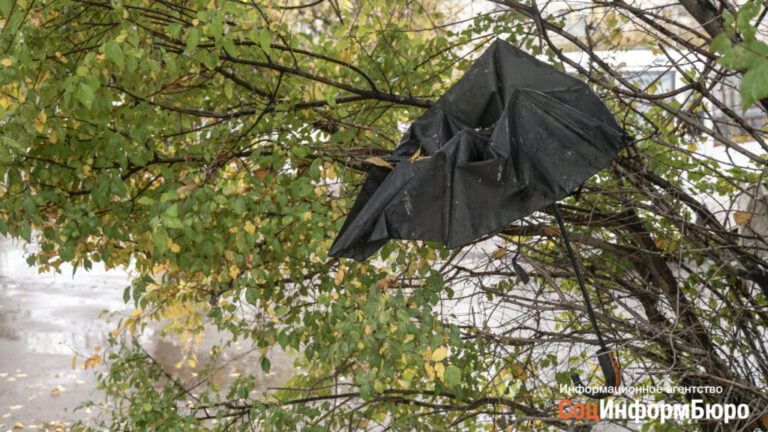 Новая неделя в Волгограде будет дождливой и прохладной