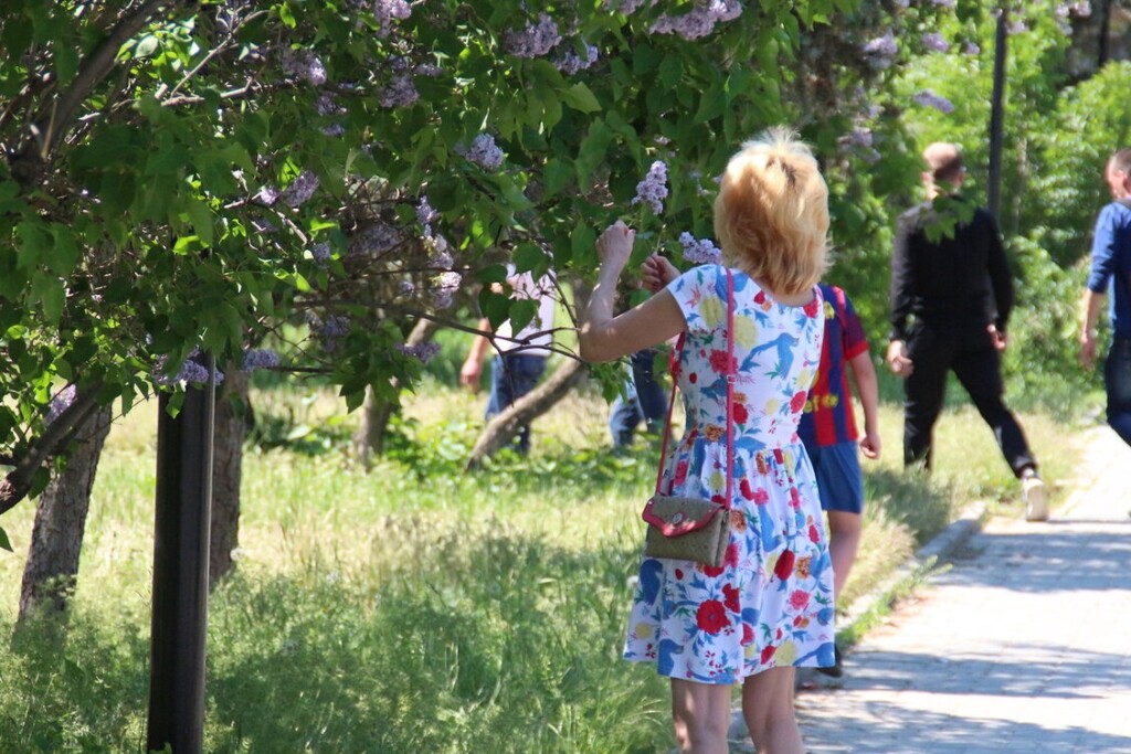 Синоптики обещают постепенное потепление в Волгоградской области и дождь в конце недели