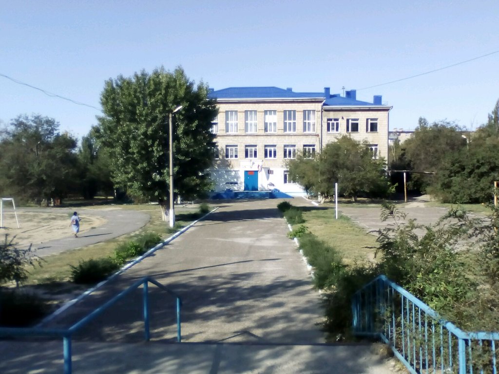 Самые успешные директора школ Волгограда за год зарабатывают более 2 миллионов рублей