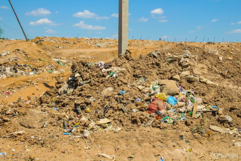 Природоохранная прокуратура очистила территорию «Лысой горы» от мусора