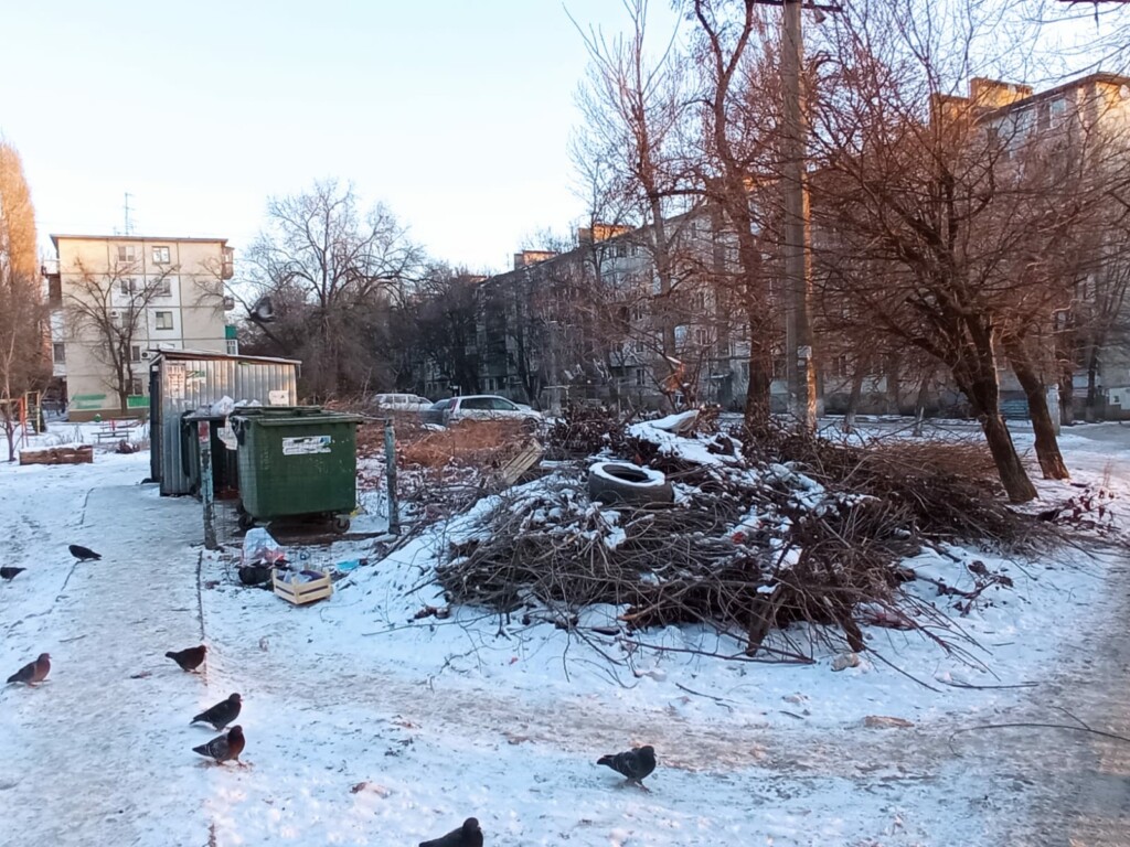 Во дворе многоквартирных домов в Волгограде выросла мусорная свалка в 50 кв.м.