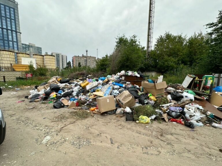 В Волгограде напротив “Волгоград-сити” выросла гора мусора