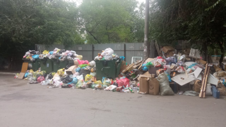 В Волгограде рассказали, когда подорожает вывоз мусора