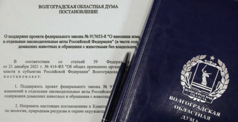 Новая система оповещения о нападениях животных: Волгоградская область инициирует законопроект