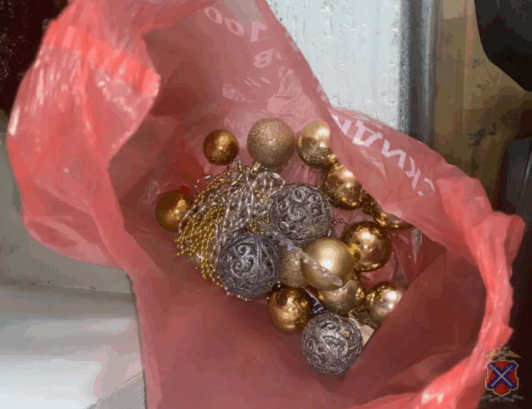 Пойманы похитители украденной новогодней ёлки в Волгограде