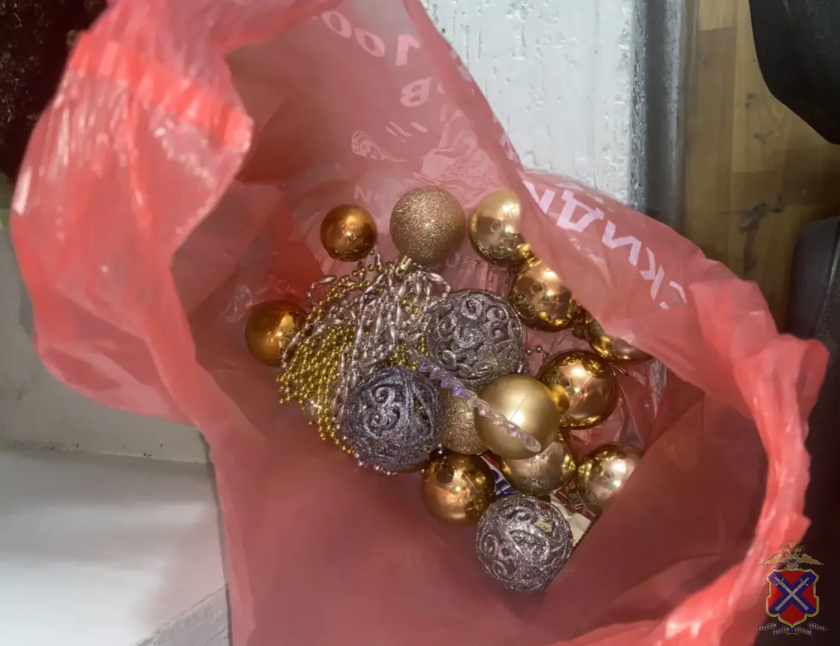 Пойманы похитители украденной новогодней ёлки в Волгограде