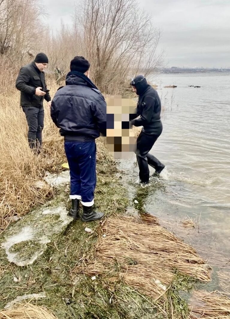 Из реки Волги подняты останки убитой и расчлененной в Волгограде женщины