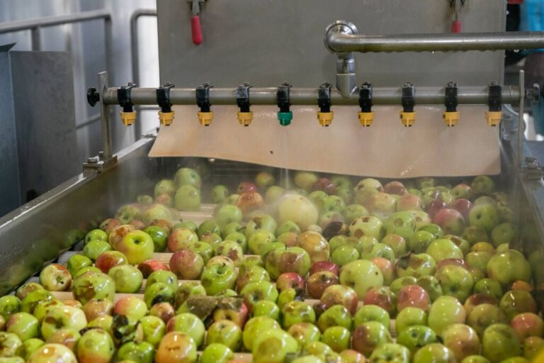 Волгоградская область побила рекорды в производстве фруктов и ягод