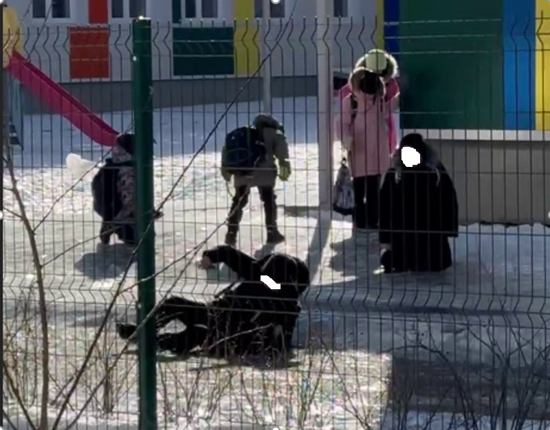 Волгоградские школы оказались не готовы к гололёду