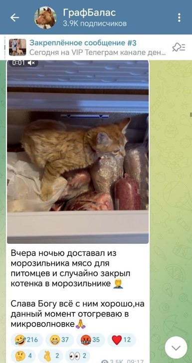 Звериный оскал